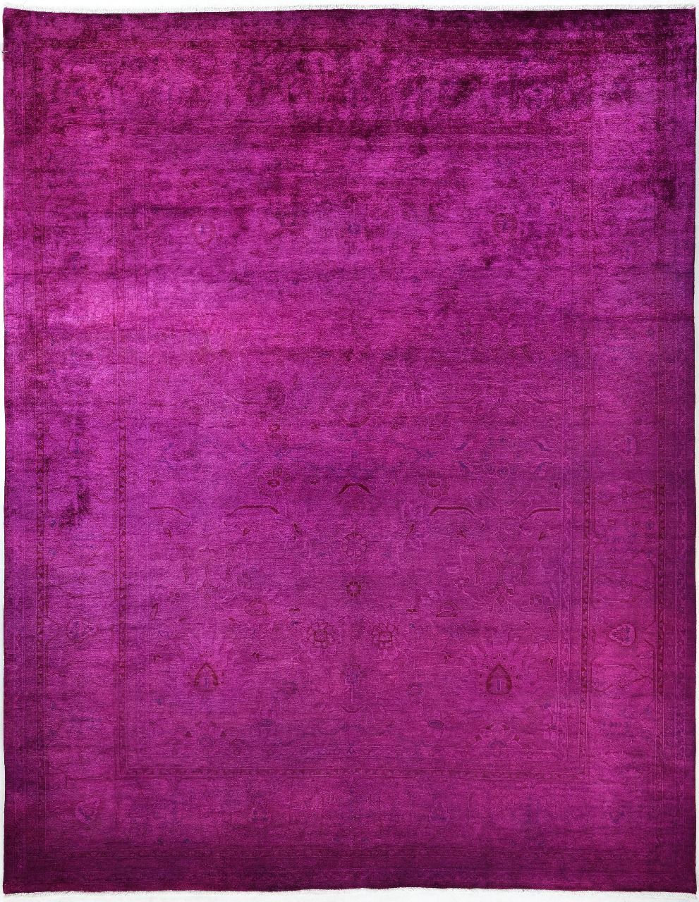 Royal Orchid